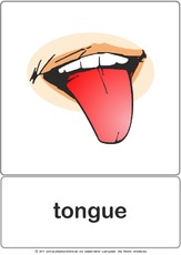 Bildkarte - tongue.pdf